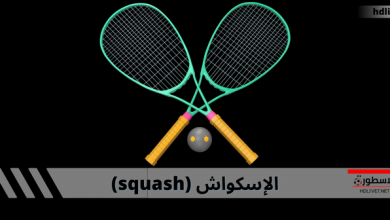 squash sport