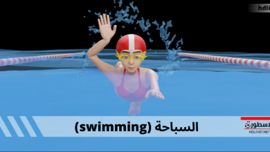 رياضة السباحة؛ أنواعها والقواعد الفنية التي يجب الالتزام بها