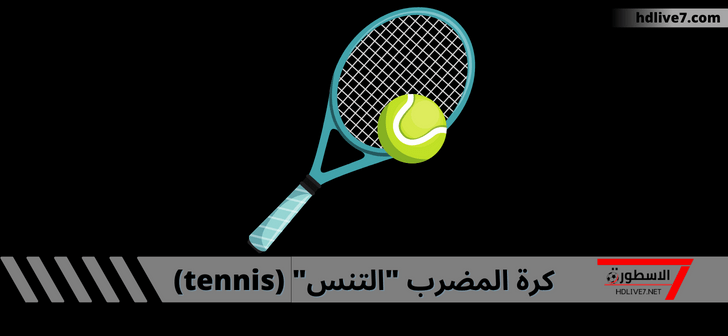 رياضة كرة المضرب (التنس)؛ كيفية لعبها وما هي القوانين والقواعد الأساسية لها