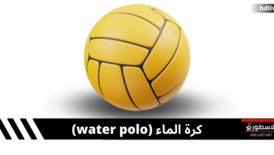 رياضة كرة الماء؛ كيفية لعبها وما هي القوانين والقواعد الأساسية لها